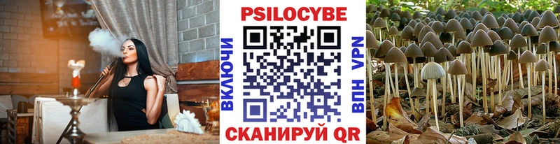 shop клад  МЕГА ссылка  Омутнинск  Галлюциногенные грибы Psilocybine cubensis 